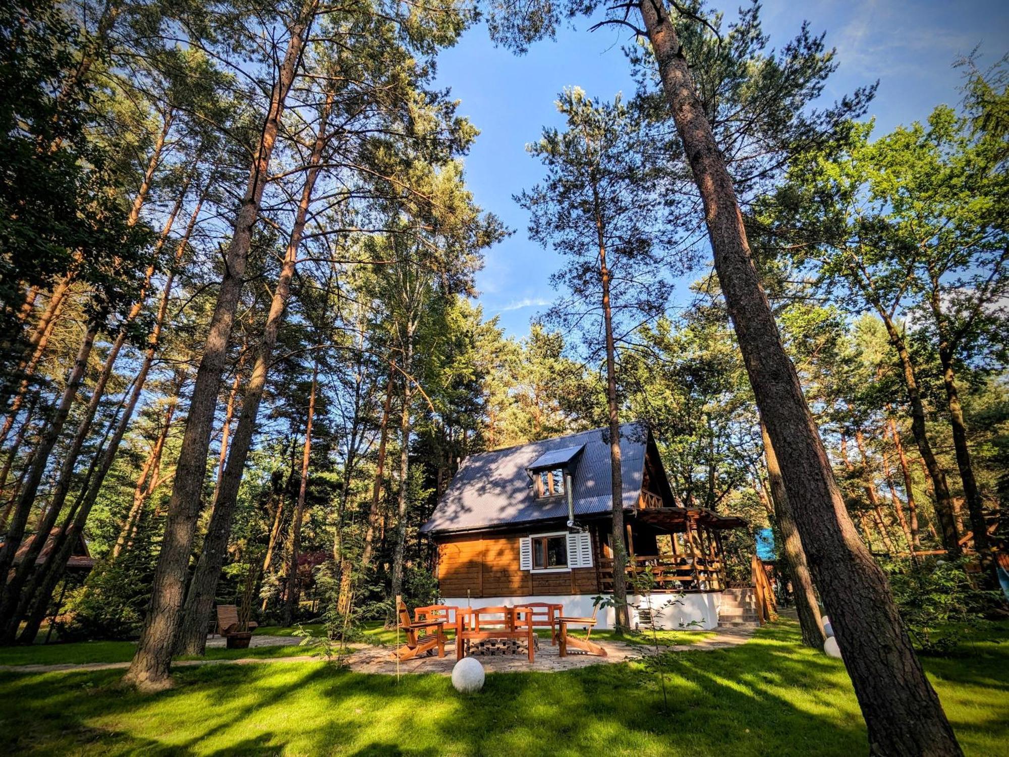 Szumiaca Sosna - Jacuzzi, Ognisko, Sauna, Bbq Villa Arciechow Luaran gambar